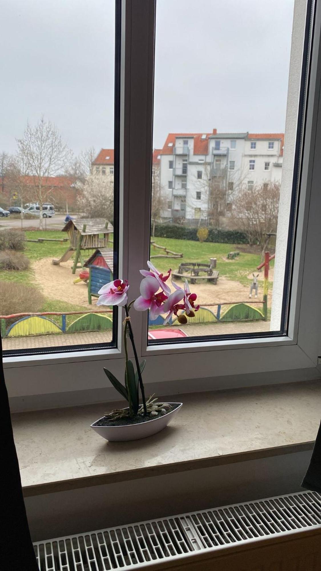 Fewo "Franzi" 5 Personen, Zentrale Lage, Parkplatz Dessau-Rosslau Kültér fotó